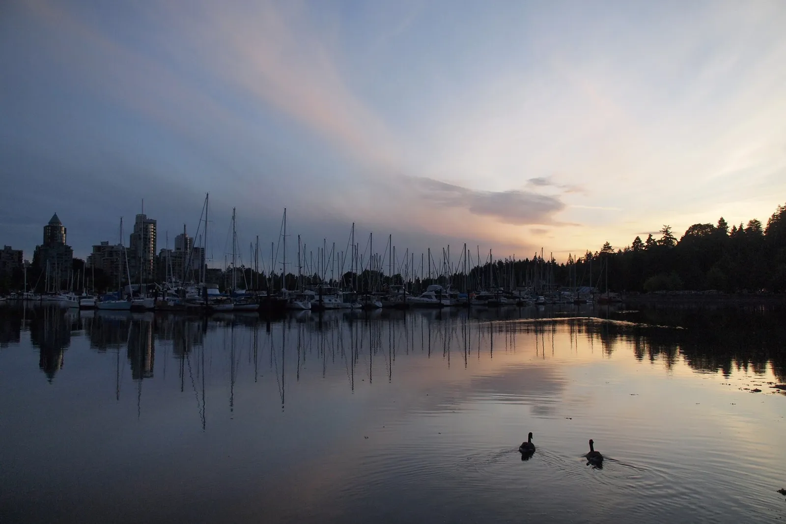 Stanley Park