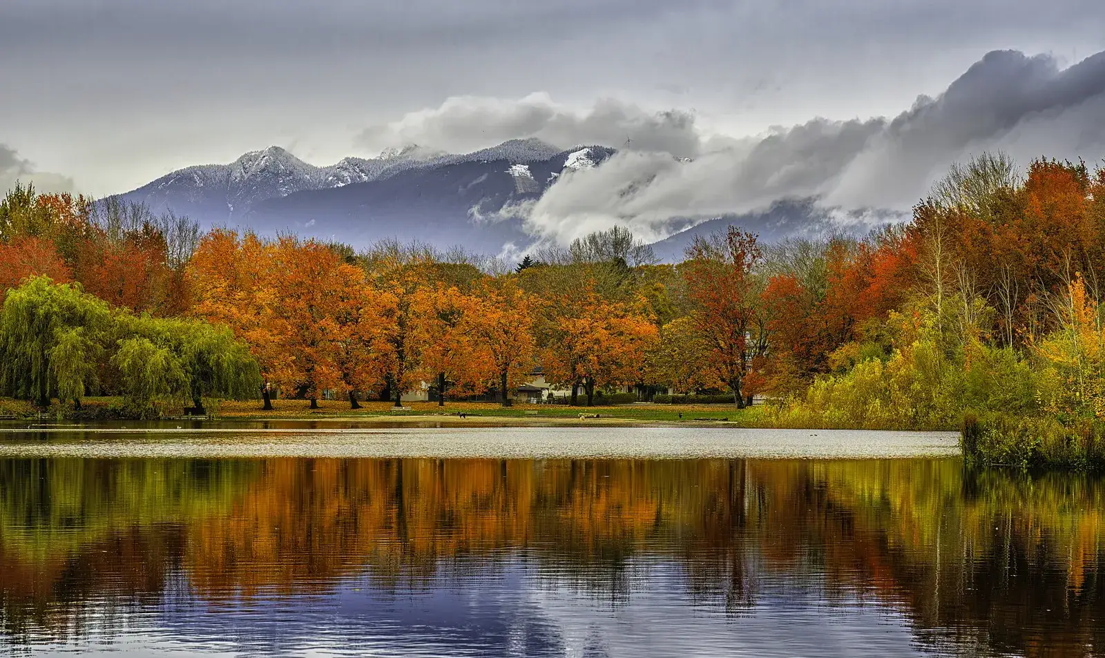Trout Lake