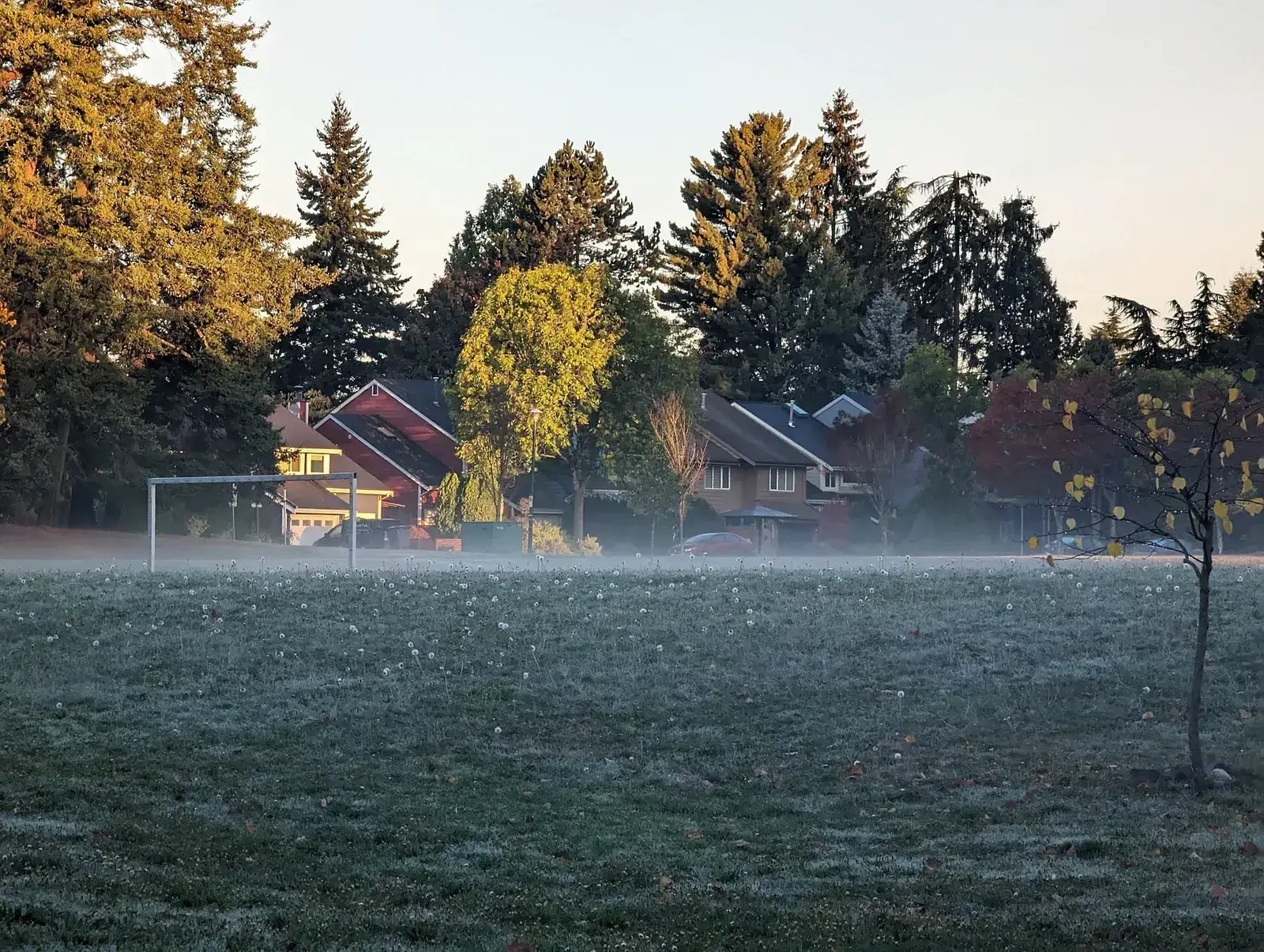 Sparwood Park, Killarney