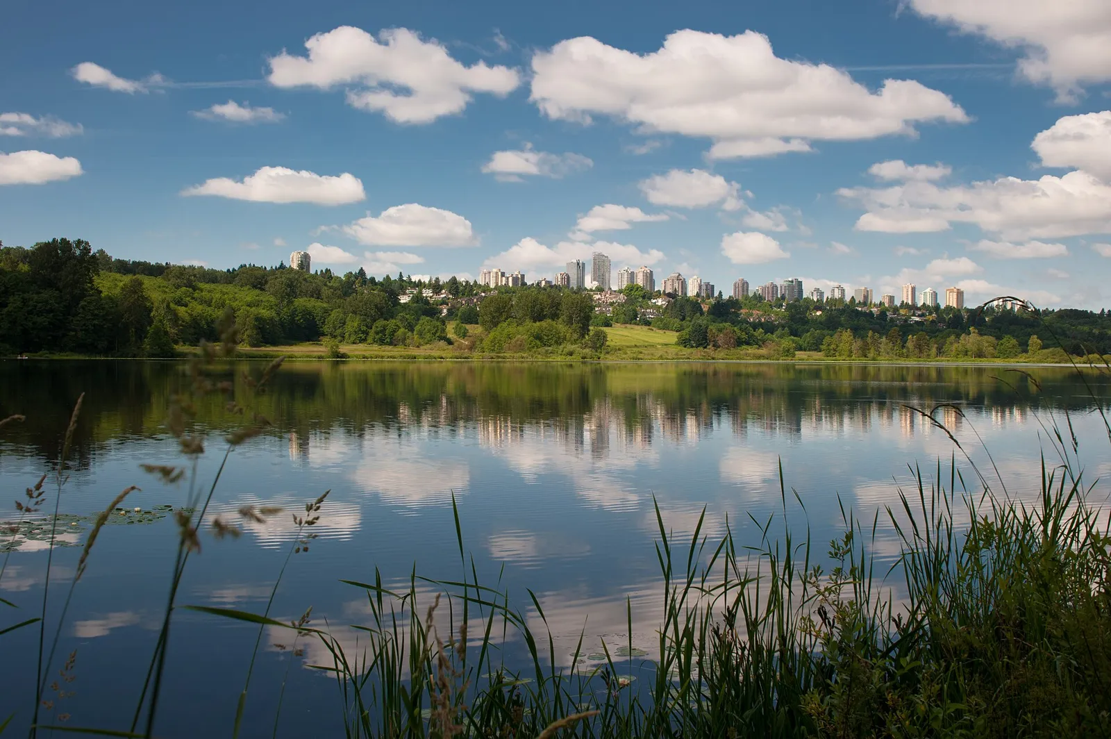 Deer Lake