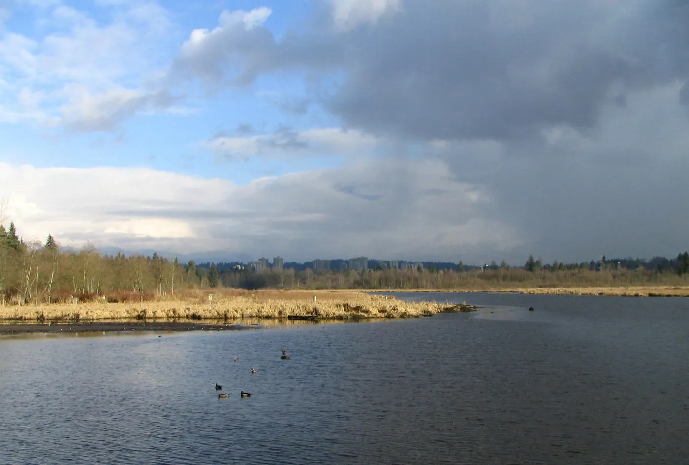 Burnaby Lake