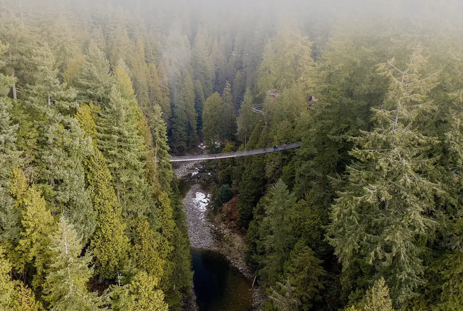 Capilano Suspension Bridge
