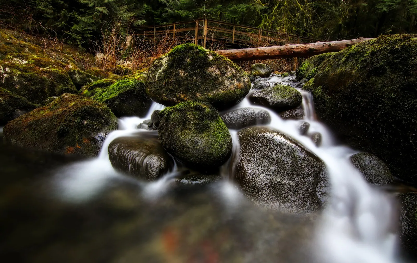Lynn Canyon Park