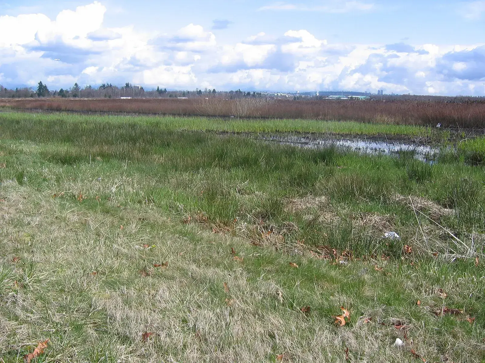 Garden City Lands