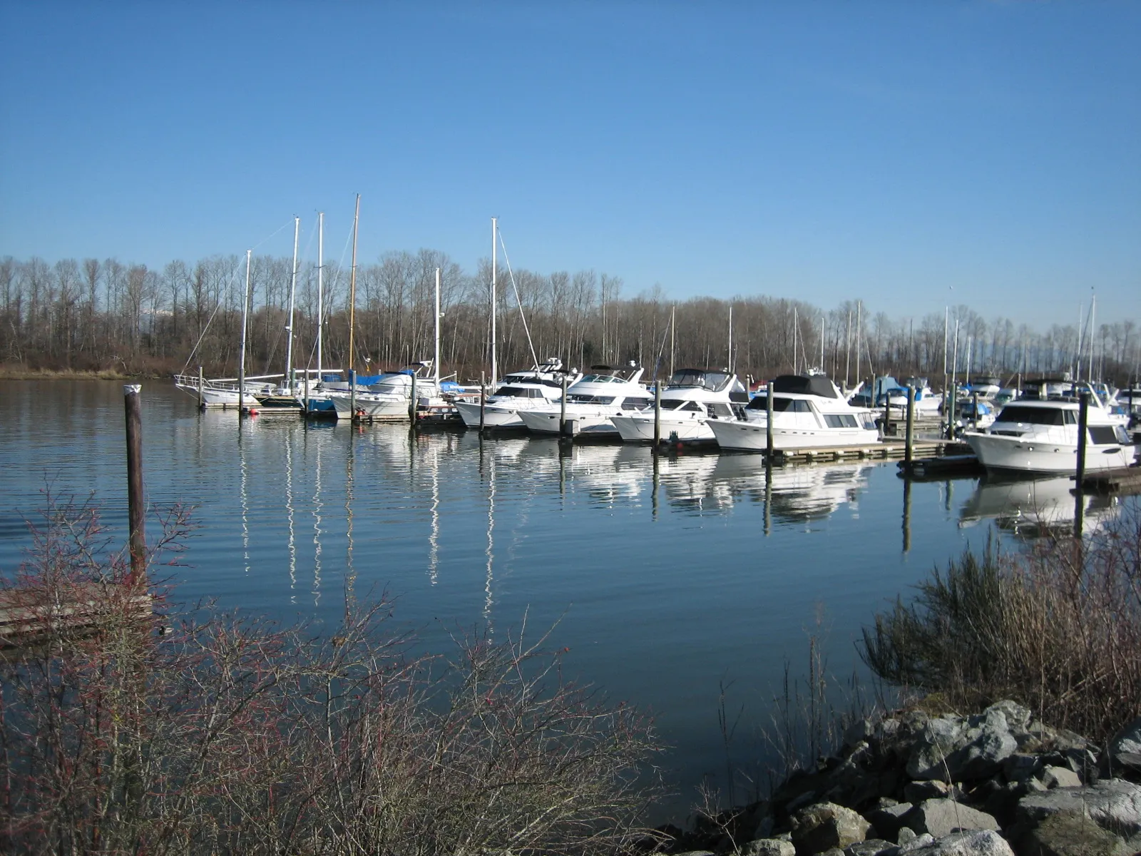 Captain's Cove Marina, Ladner