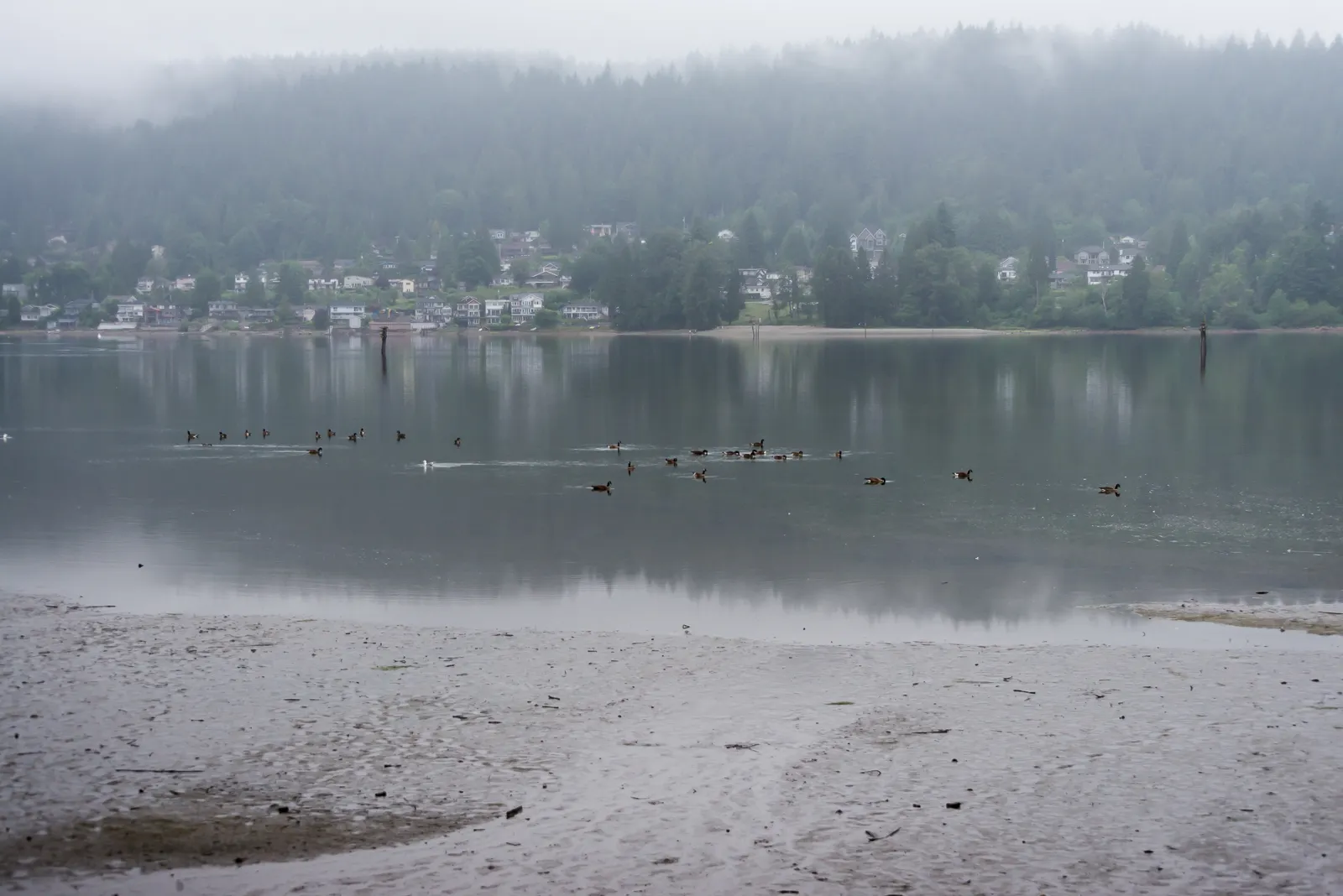 Burrard Inlet, Port Moody